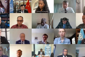 Việt Nam kêu gọi Sudan, Nam Sudan tăng cường phối hợp với UNISFA ứng phó với Covid-19