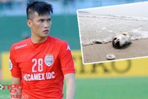 Công Vinh và Văn Hoàn bị ngộ độc vì ăn cá biển