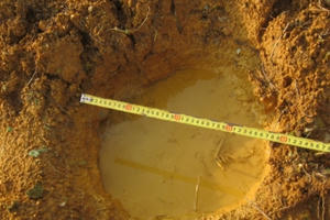 Nghệ An: Voi rừng liên tục xuất hiện phá hoại hoa màu của người dân