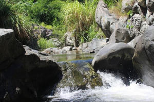 Hòa Bình: Nghi án mẹ ôm 3 con nhảy suối tự tử khiến 4 người tử vong thương tâm