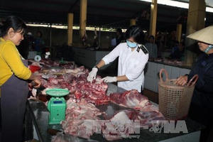 Thanh Hóa quản lý chặt hoạt động giết mổ động vật