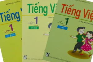 Thủ tướng đề nghị Bộ GD&ĐT đánh giá lại chương trình thực nghiệm của GS Đại Thủ tướng đề nghị Bộ GD&ĐT đánh giá lại chương trình thực nghiệm của GS Đại