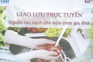 Tìm nguồn rau sạch ở đâu cho mỗi bữa cơm gia đình