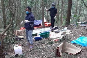 Thi thể người đàn ông đang phân hủy trong rừng keo nghi bị sát hại
