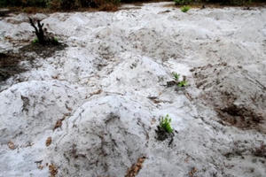 Đà Nẵng: Đắp hàng trăm ngôi mộ giả trong khu rừng quy hoạch chờ giải tỏa