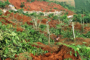 Lâm Đồng: Diện tích đất sạt lở bất thường ở xã Đạ Đờn ngày càng tăng