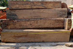 Thu giữ 9,21m3 gỗ lậu các loại tại Tiền Giang