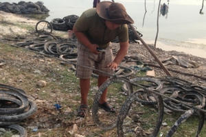Nuôi hàu bằng lốp xe cũ ở Vịnh Lăng Cô: “Hiểm họa khôn lường”