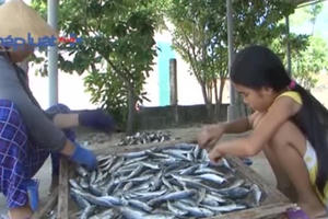 Quảng Trị: Miễn học phí cho 16.000 học sinh vùng biển