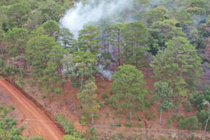 Đất rừng ở huyện Bảo Lâm được "phù phép" thành đất tư nhân vì quản lý còn nhiều bất cập?