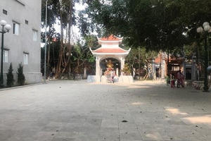 “Thôn Việt Triều” giữa lòng Hà Nội