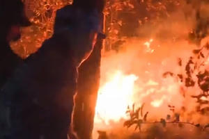 Video: Hàng ngàn người trắng đêm chiến đấu với cháy rừng ở Hà Tĩnh