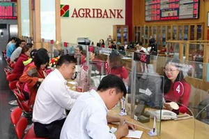 Agribank nói gì về việc hai người dân tự nhiên mắc khoản nợ khổng lồ “từ trên trời rơi xuống” Agribank nói gì về việc hai người dân tự nhiên mắc khoản nợ khổng lồ “từ trên trời rơi xuống”