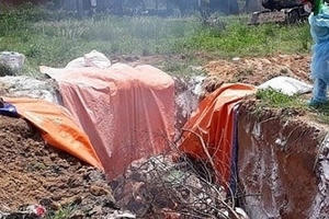 Bộ NN&PTNT yêu cầu tỉnh Hải Dương làm rõ thông tin khai khống lợn dịch để trục lợi