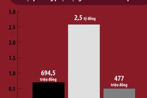 Bức tranh toàn cảnh doanh nghiệp đa cấp năm 2016