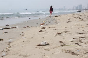 Lãnh đạo Đà Nẵng khẳng định nước biển vẫn sạch