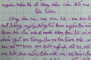 Cười ngất với bài văn mô tả công việc bố mẹ của học sinh lớp 3