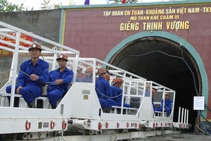 Nhập than phát điện: Phải hài hoà lợi ích 2 “ông lớn” Điện - Than!