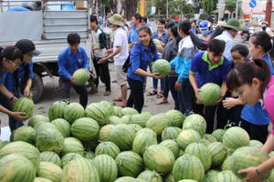 Bản tin kinh tế Plus: 'Giải cứu dưa hấu' - Ấm tình người sau mỗi chuyến xe