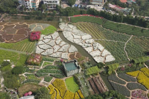 Bản tin Bất động sản Plus: Nhiều sai phạm trong quản lý đất đai ở "Thung lũng hoa Hồ Tây''