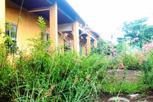 245 phòng học bỏ hoang tại Gia Lai: Lãng phí