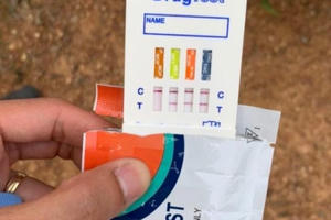 Nghệ An: Phát hiện 10 tài xế dương tính với chất ma túy Nghệ An: Phát hiện 10 tài xế dương tính với chất ma túy