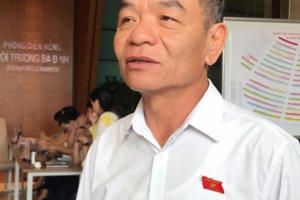 ĐBQH hoan nghênh việc Ca sĩ Thủy Tiên kêu gọi cứu trợ miền Trung