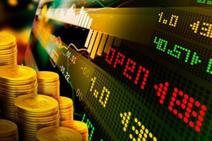 Báo cáo không đúng thời hạn, Tổng Giám đốc CTCP xuất nhập khẩu Kiên Giang bị xử phạt 27,5 triệu đồng