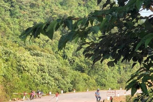 Tạm giữ các đối tượng ném bom xăng vào người thi hành công vụ