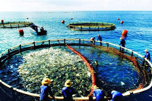 “Xây dựng một quốc gia mạnh và giàu từ biển”