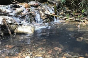 Điều nghịch lý khó hiểu đổ dầu vào nước Sông Đà