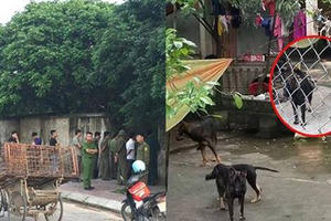 Hưng Yên: Khởi tố vụ án bé trai 7 tuổi bị đàn chó cắn tử vong