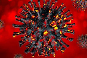 Việt Nam ghi nhận ca bệnh COVID-19 nhiễm biến chủng Omicron đầu tiên