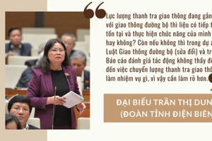 Đại biểu Quốc hội: Chuyển cấp giấy phép lái xe sang Bộ Công an, hàng nghìn người sẽ làm gì?