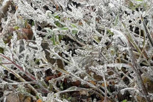 Những bức ảnh băng giá gây bão cộng đồng mạng những ngày qua