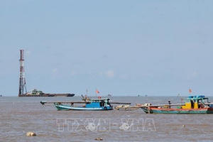 Vị trí móng trụ tua bin Nhà máy điện gió Tân Thuận nằm ngoài phạm vi luồng lạch