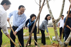 Vinamilk trồng cây xanh góp phần chống biến đổi khí hậu tại Bình Định