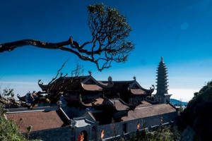 Những số phận thoát nghèo nhờ du lịch