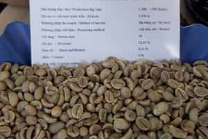 Vì sao cà phê xuất khẩu chưa “hưởng lợi” nhiều từ EVFTA? Vì sao cà phê xuất khẩu chưa “hưởng lợi” nhiều từ EVFTA?