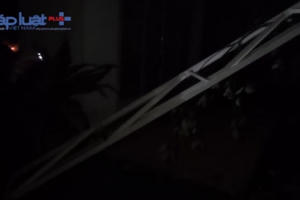 Bình Dương: Mưa lớn cây cối ngã đổ, nhà dân bị tốc mái Bình Dương: Mưa lớn cây cối ngã đổ, nhà dân bị tốc mái