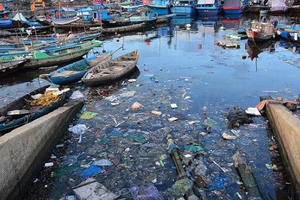 Đà Nẵng 'loay hoay' trước vấn nạn rác và ô nhiễm biển Đà Nẵng 'loay hoay' trước vấn nạn rác và ô nhiễm biển