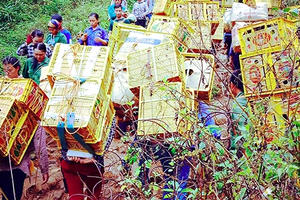 "Thiên đường" hàng lậu Tân Thanh: Những đồng tiền có vị mặn chát