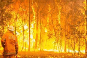 Australia cảnh báo cháy rừng trên toàn bang New South Wales