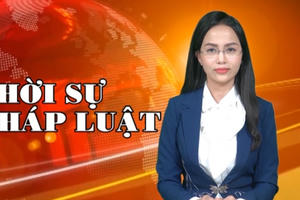 Những loại giấy tờ quan trọng cần làm trước 31/12