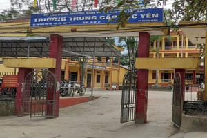 Yên Bái: Bắt giam Hiệu trưởng cùng kế toán quyết toán khống hơn 600 triệu đồng