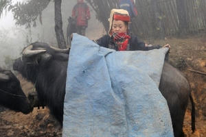 Dự báo thời tiết ngày 28/12: Nền nhiệt miền Bắc tiếp tục hạ thấp