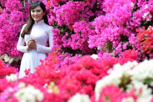 Lịch nghỉ tết dương lịch, âm lịch trong tháng 1/2020