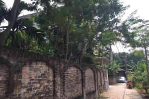 Đông Anh: Phát hiện thêm cuốn sổ đỏ được ký khống tại xã Xuân Canh