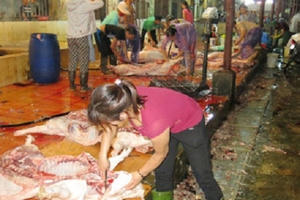 Hà Nội: Hơn 1.500 điểm giết mổ không đảm bảo vệ sinh