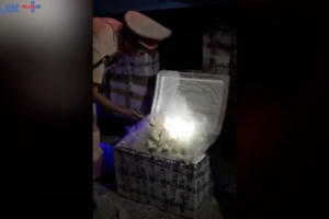 Nghệ An: Thu giữ 600kg thực phẩm không rõ nguồn gốc